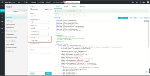 解析阿里云短信服务 isv.invalid json param 错误及信息系统集成应对策略